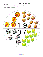 kavram gelişim çalışmaları sayılar